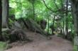 043 Le Mont Ste. Odile.jpg