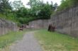 074 Fort Mutzig.jpg