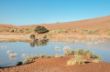 Sossusvlei with water-2973.jpg