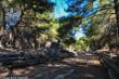 Phaselis-6366.jpg