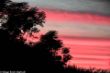 Side Sunset-6916.jpg