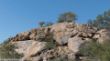 Erongo Wilderness Umgebung-1010584.jpg