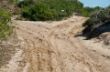Track durch Sand-8525.jpg
