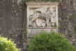 Venezianischer Löwe in Kotor-0583.jpg