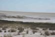 Salzpfanne, Etosha-2539.jpg