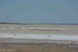 Pfanne, Etosha-2583.jpg