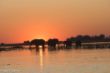 Elefanten im Chobe-River bzw. Kwando-3085.jpg