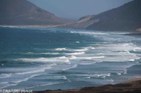 Strand von Vincente-7241.jpg