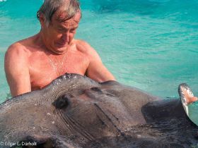 Rochen mit uns-2205355.jpg