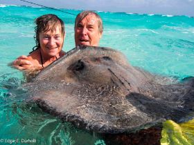 Rochen mit uns-2205367.jpg