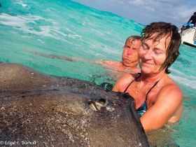 Rochen mit uns-2205372.jpg