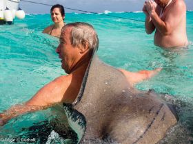 Rochen mit uns-2205361.jpg