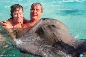 Rochen mit uns-2205368.jpg