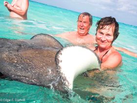 Rochen mit uns-2205373.jpg