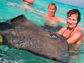 Rochen mit uns-2205374.jpg