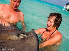 Rochen mit uns-2205375.jpg