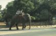 India, Country side-41.jpg