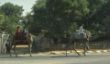 India, Country side-43.jpg