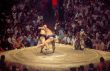 B 36 Sumo Kampf.jpg