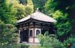 C 49 Temple.jpg