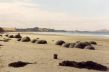 B 23 Moeraki Boulders.jpg