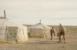 Camel farm-0054.jpg
