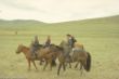 Horse milking-0052.jpg