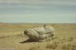 Stone Turtle near Erdene Zuu-0033.jpg