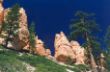 D 15 Bryce Canyon.jpg