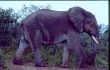 A 18 Addo-Park.jpg