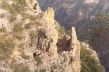 D 53 View in Copper Canyon.jpg