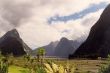 H 66 Milford Sound.jpg