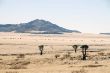 AQ 10 Namib Naukluft Park.JPG