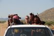 BC 077 Himba, Epupa.JPG