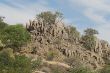 BI 29 Rock Formations, tom Porcupine.JPG