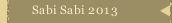 Sabi Sabi 2013